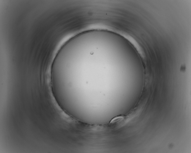 X0000101700815200807241430