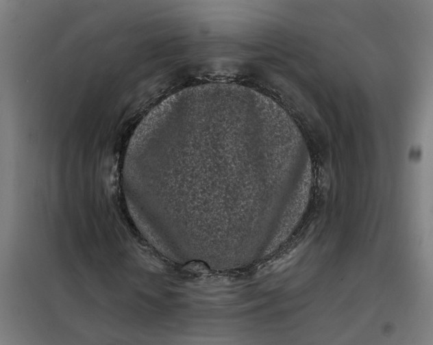 X0000101700818200807241430