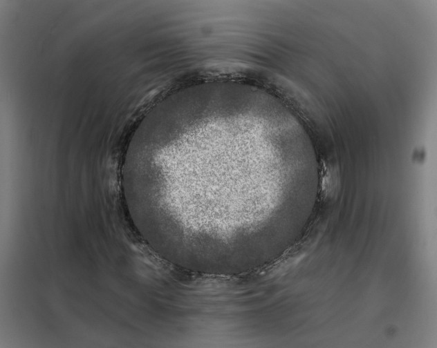 X0000101700819200807241430