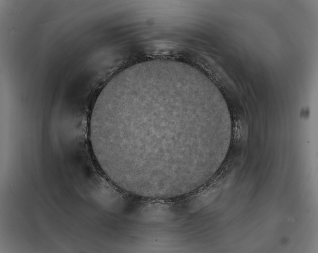 X0000101700820200807241430