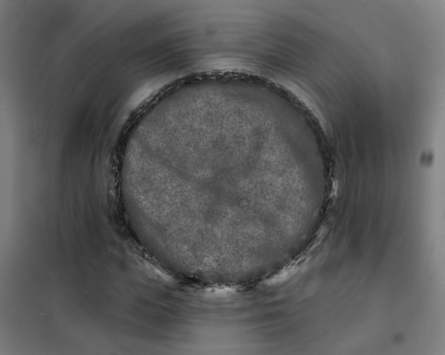 X0000101700823200807241430