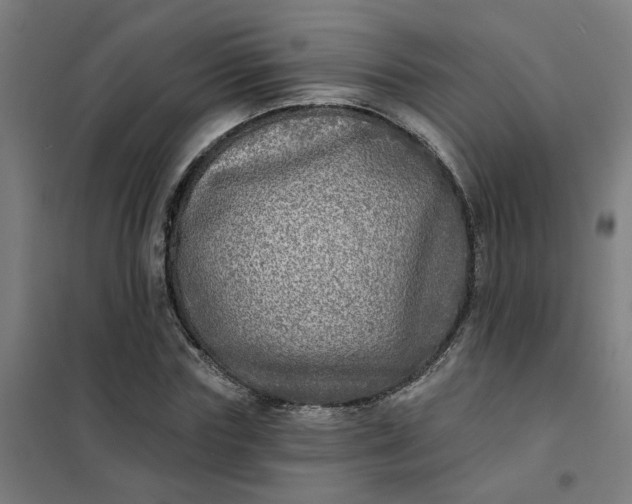 X0000101700827200807241430