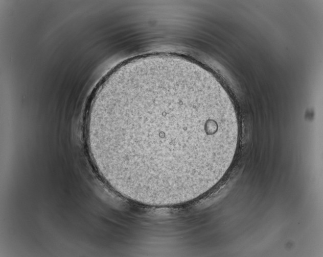 X0000101700828200807241430