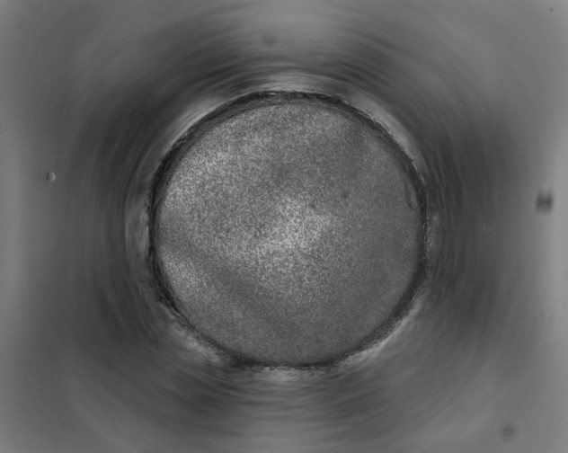 X0000101700829200807241430