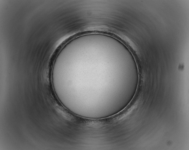 X0000101700830200807241430