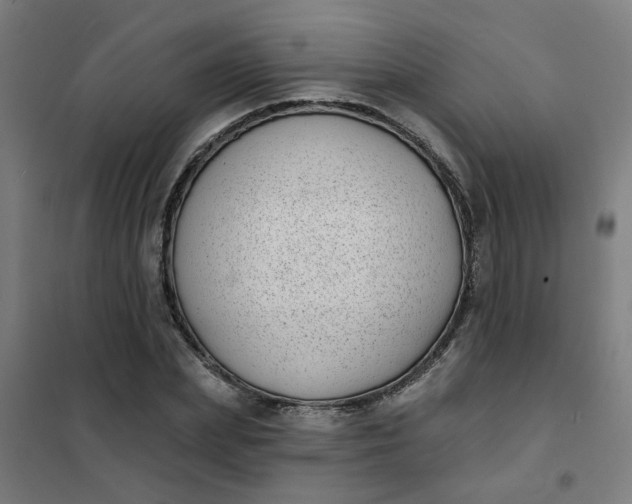 X0000101700831200807241430