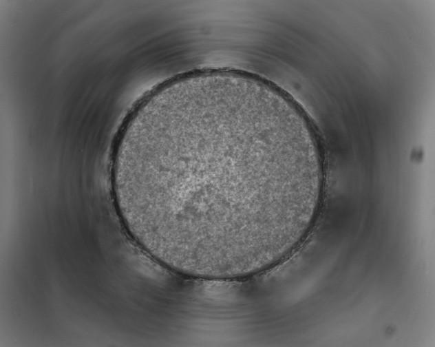 X0000101700832200807241430