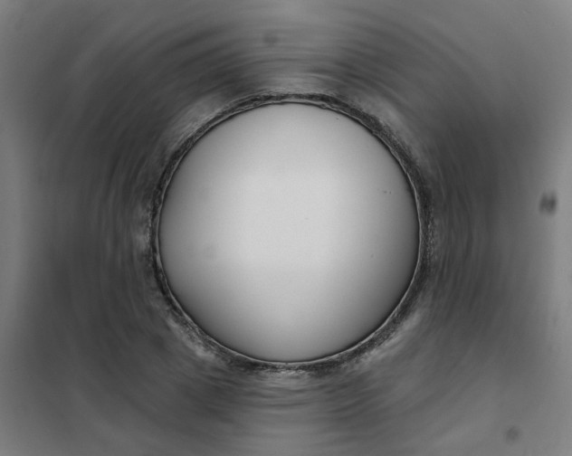 X0000101700833200807241430