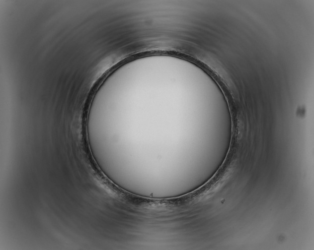 X0000101700834200807241430