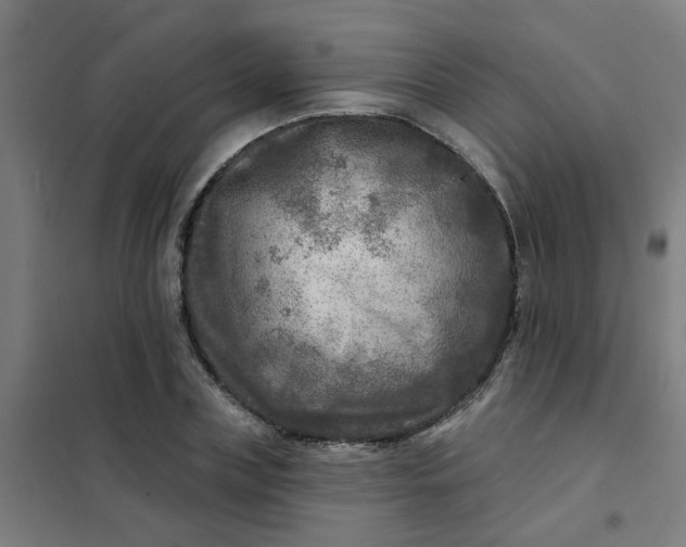 X0000101700835200807241430