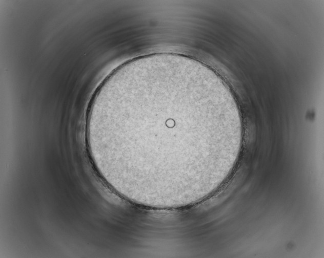 X0000101700836200807241430