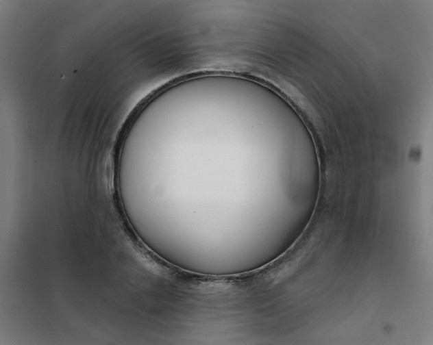 X0000101700838200807241430