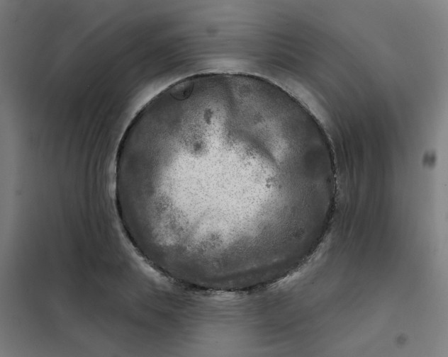 X0000101700839200807241430