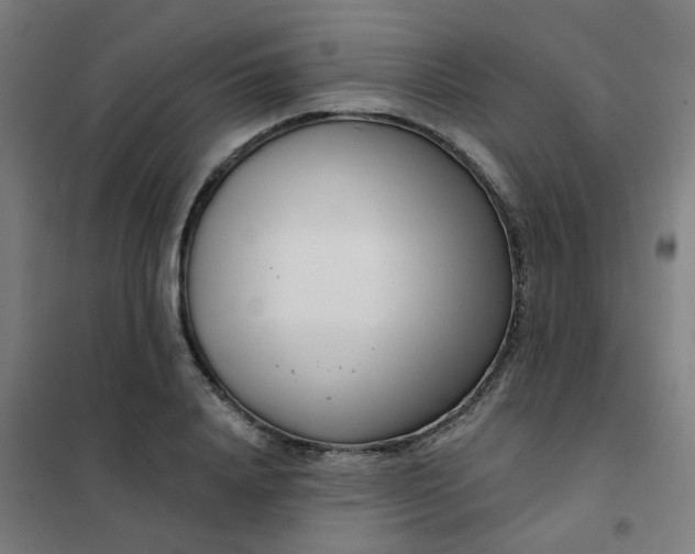 X0000101700840200807241430