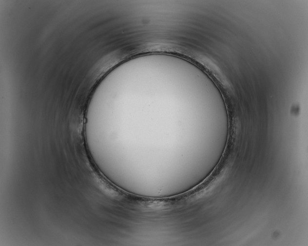 X0000101700841200807241430