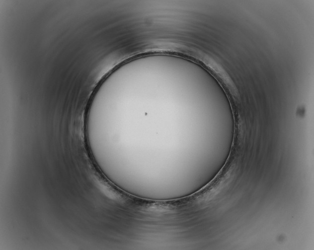 X0000101700842200807241430