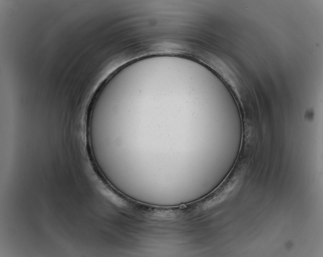 X0000101700843200807241430