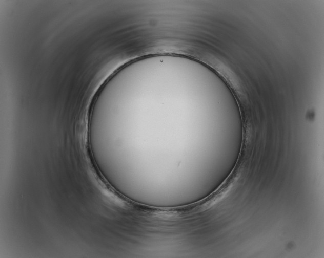 X0000101700844200807241430