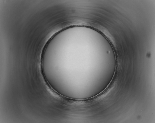 X0000101700845200807241430