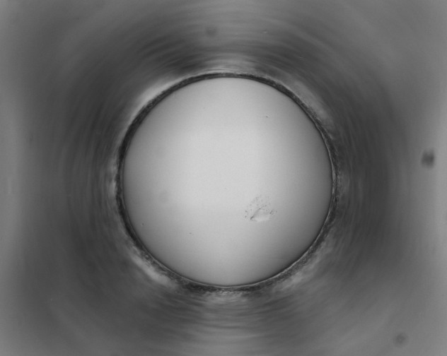 X0000101700846200807241430