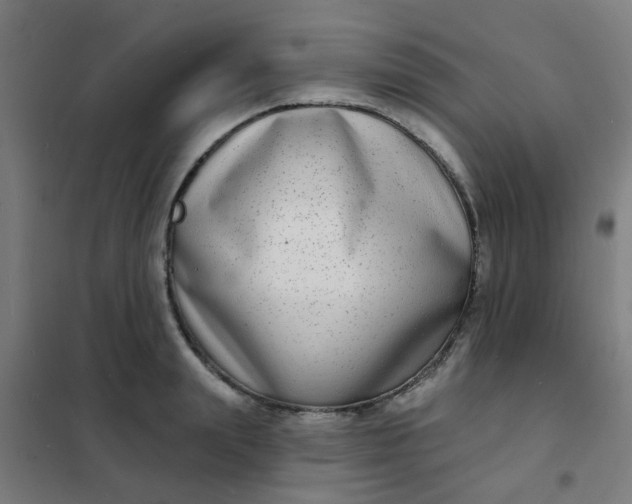 X0000101700847200807241430