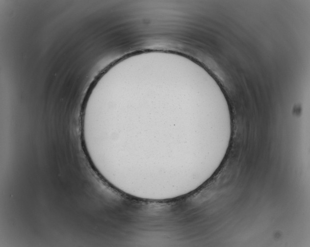 X0000101700848200807241430