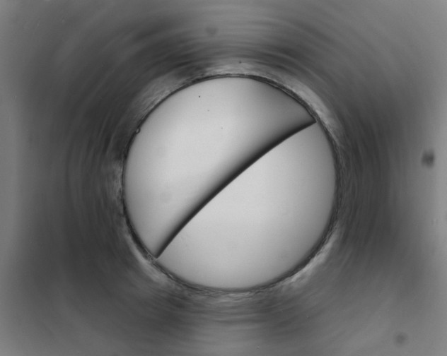 X0000101700849200807241430