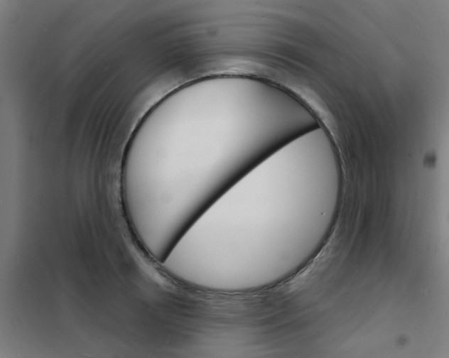 X0000101700850200807241430