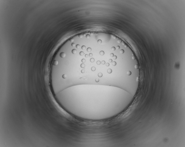 X0000101700851200807241430