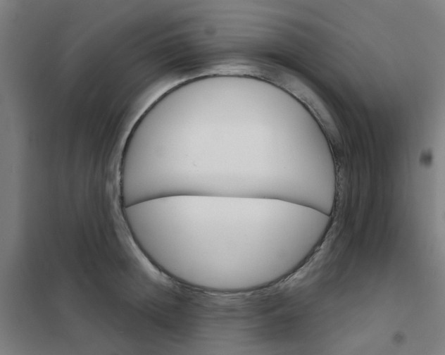 X0000101700852200807241430