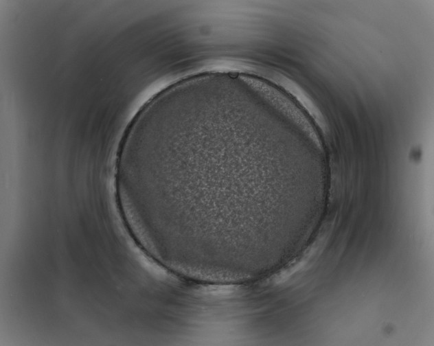 X0000101700853200807241430