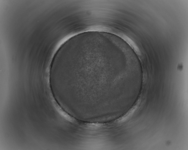 X0000101700854200807241430