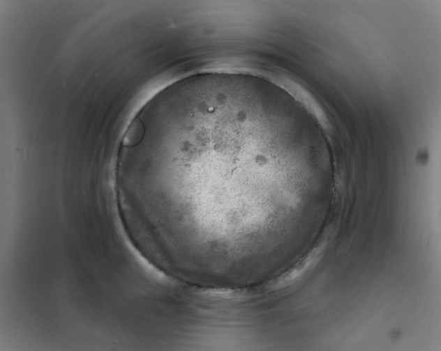 X0000101700855200807241430