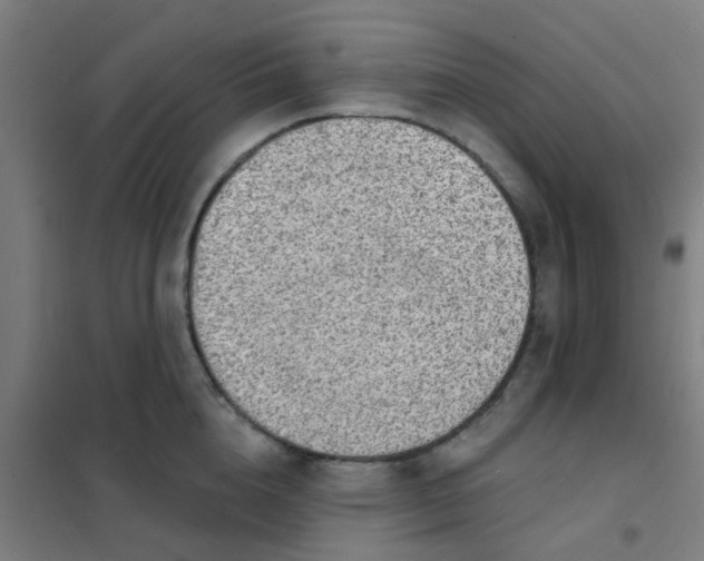 X0000101700856200807241430