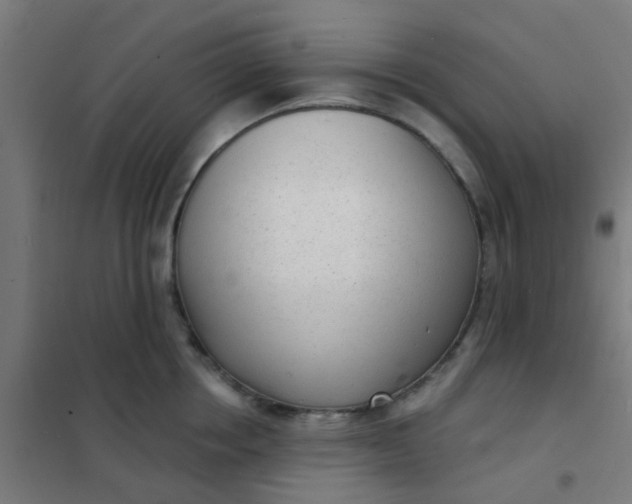 X0000101700858200807241430