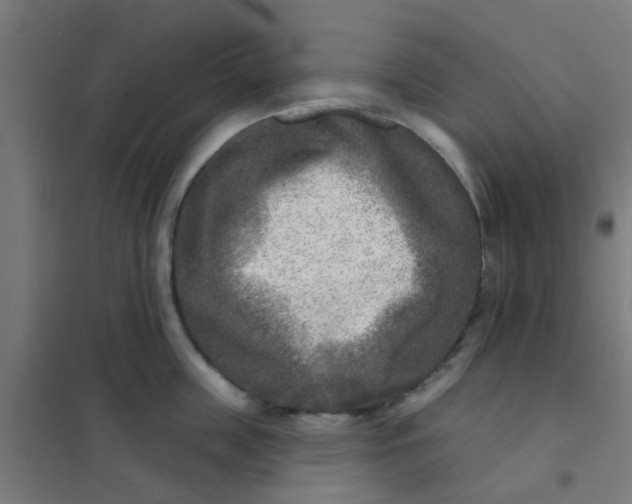 X0000101700859200807241430