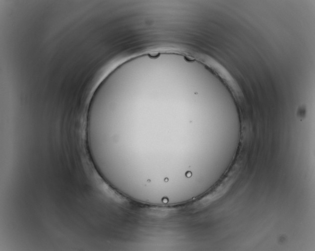 X0000101700860200807241430