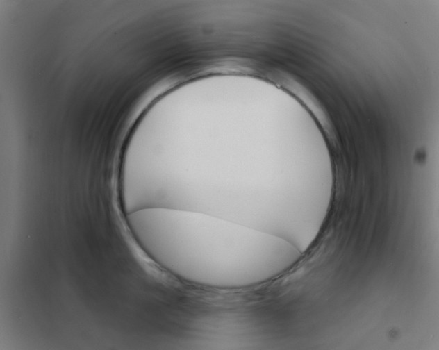 X0000101700861200807241430