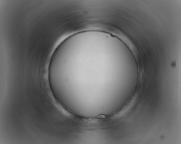 X0000101700862200807241430