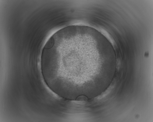 X0000101700863200807241430