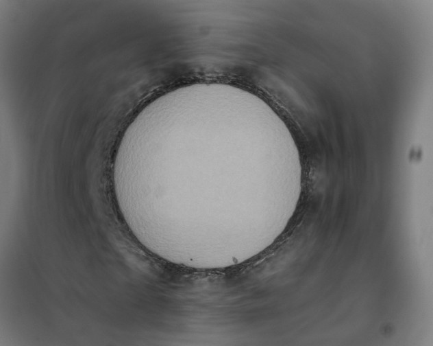 X0000101700865200807241430