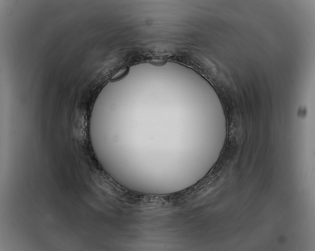 X0000101700866200807241430