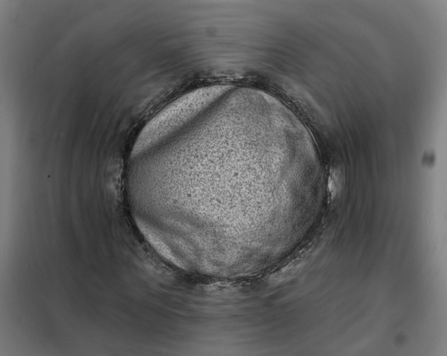 X0000101700867200807241430