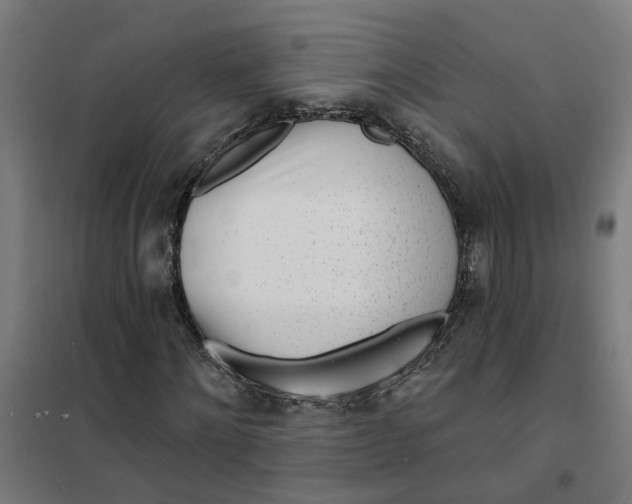 X0000101700868200807241430