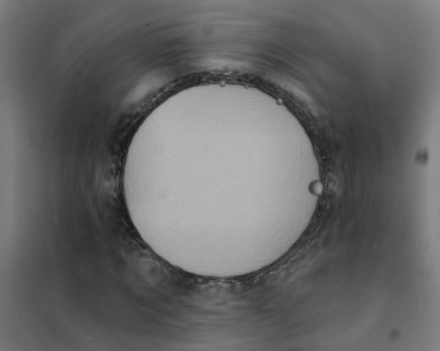 X0000101700869200807241430