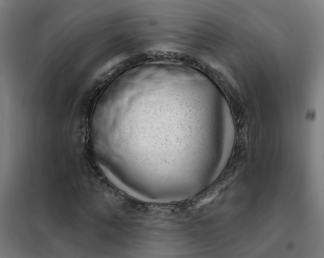 X0000101700870200807241429