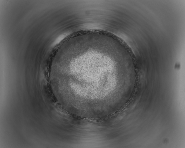 X0000101700871200807241429