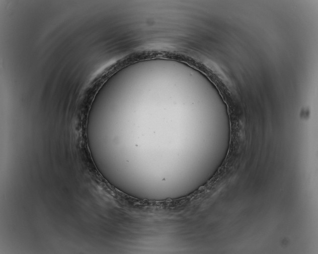 X0000101700872200807241429