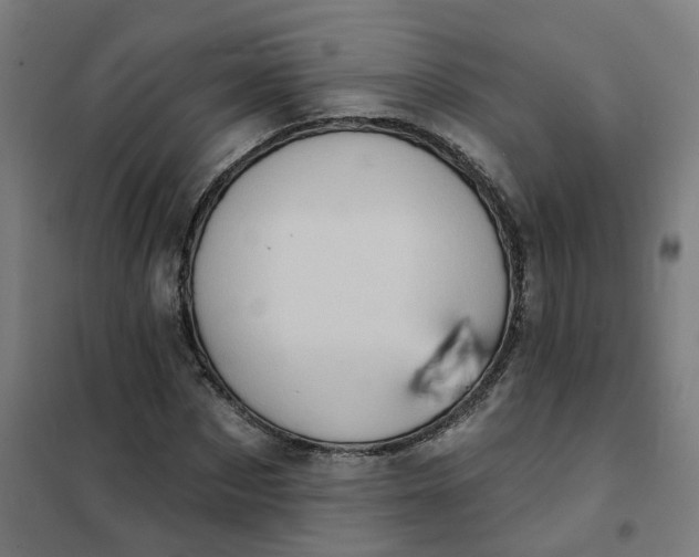 X0000101700873200807241429