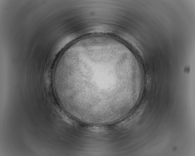 X0000101700874200807241429